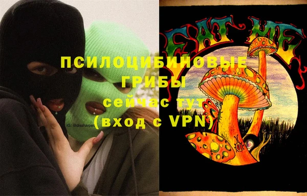 мяу мяу мука Баксан