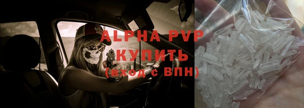 мяу мяу мука Баксан