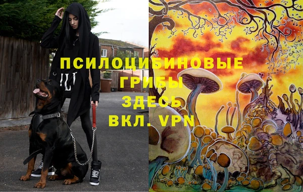 молекула духа Балабаново