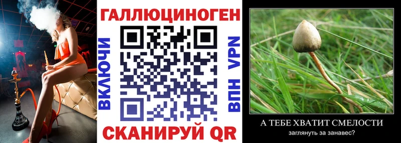 сколько стоит  Нытва  Галлюциногенные грибы ЛСД 