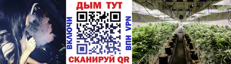 МАРИХУАНА семена  купить   Нытва 